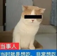 Syafrudindaftar link slot mpo terbaruZhu Yanxuan tersenyum rendah: Saya tidak pernah menyesali apa yang saya lakukan